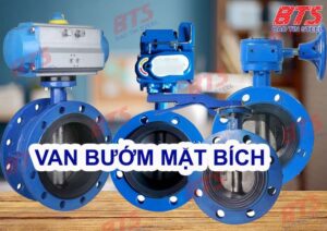 Van bướm mặt bích